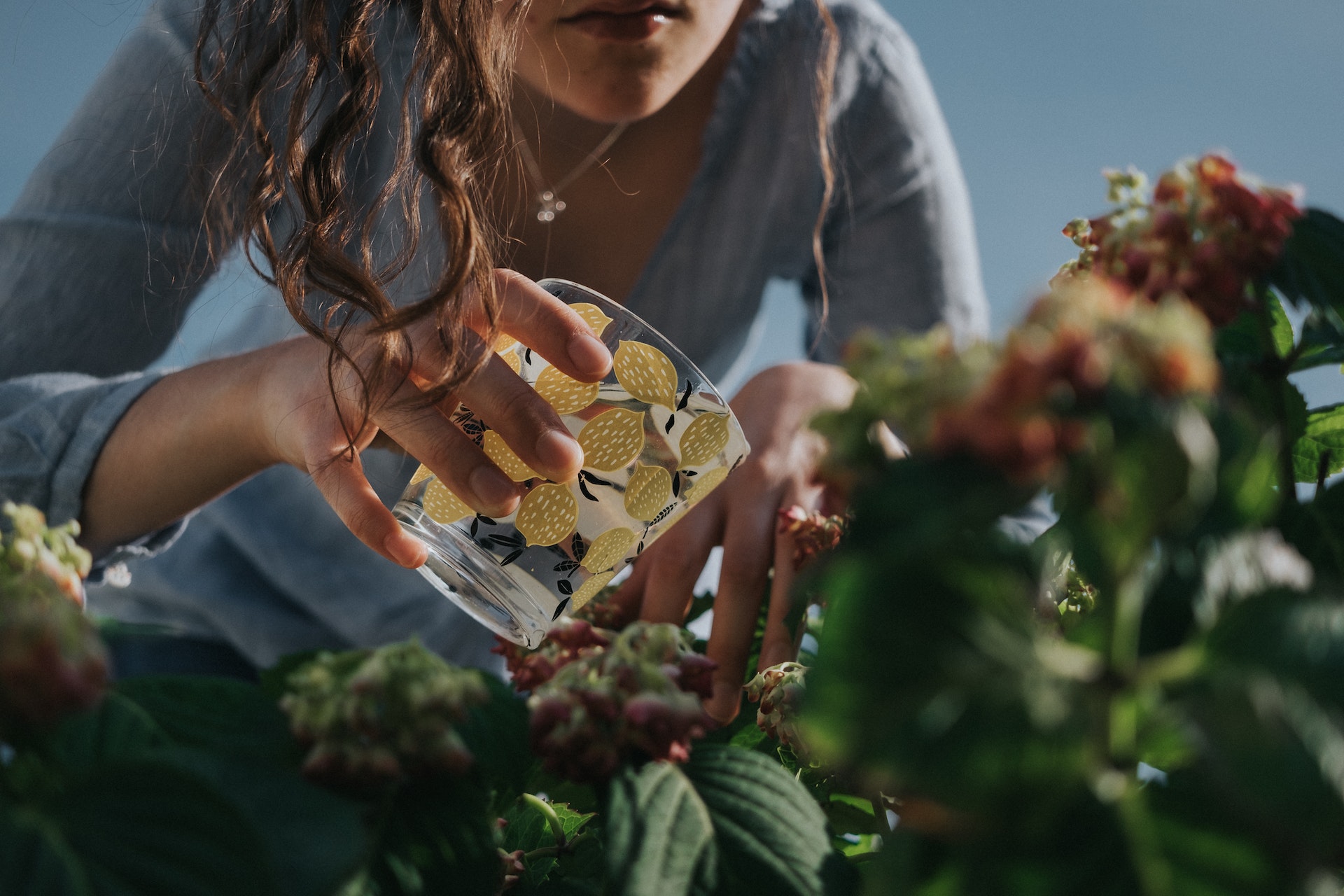 hoe maak je een ecologische tuin ecologische tuin maken