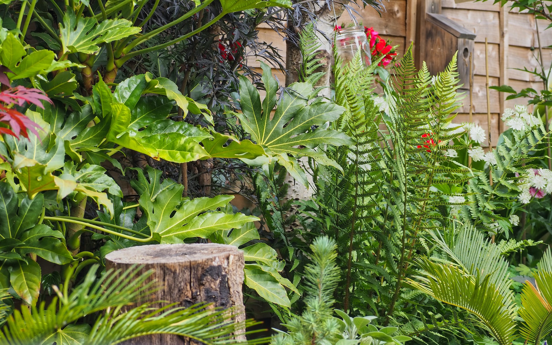 hoe maak je een natuurtuin natuurtuin maken