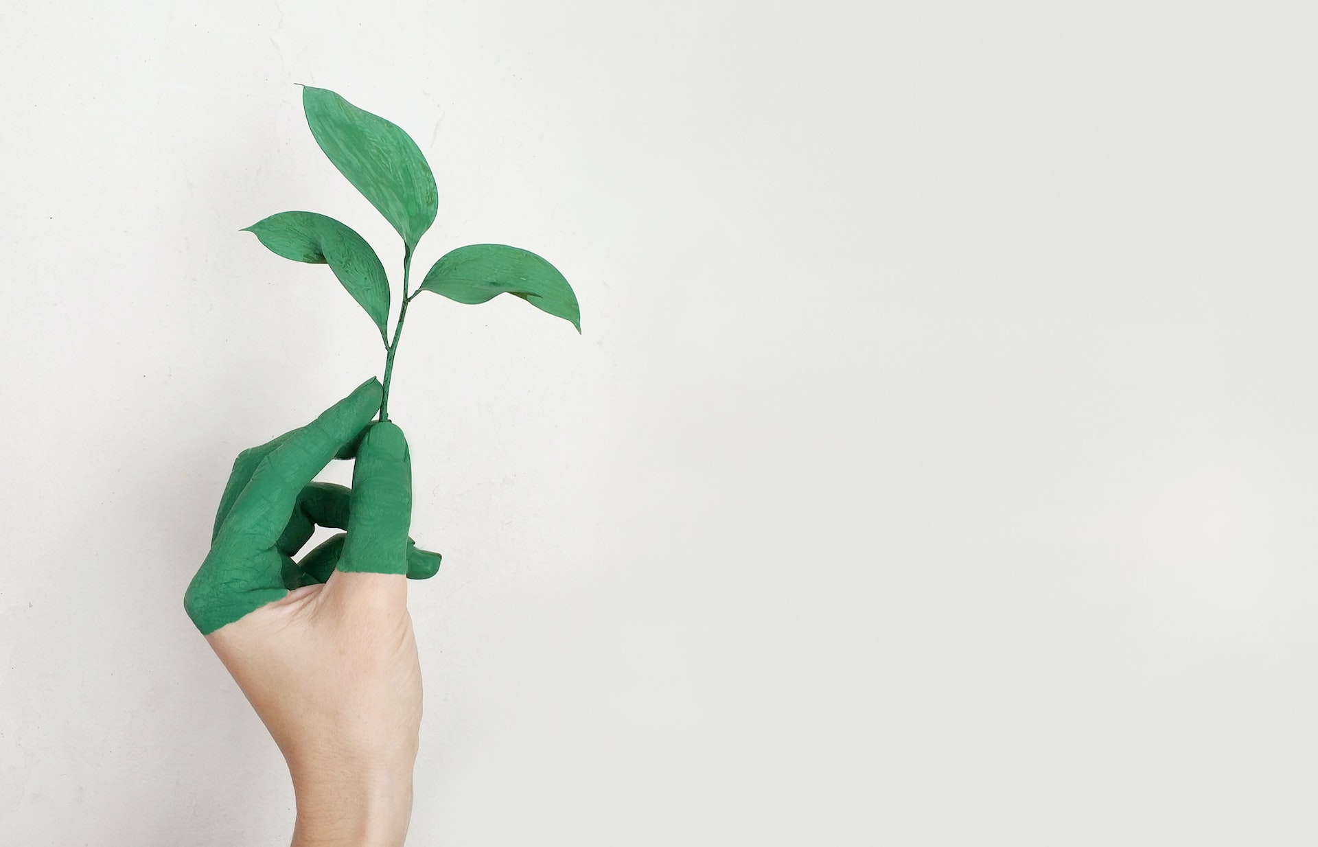 wat is een ecologisch adviseur ecologisch adviseur